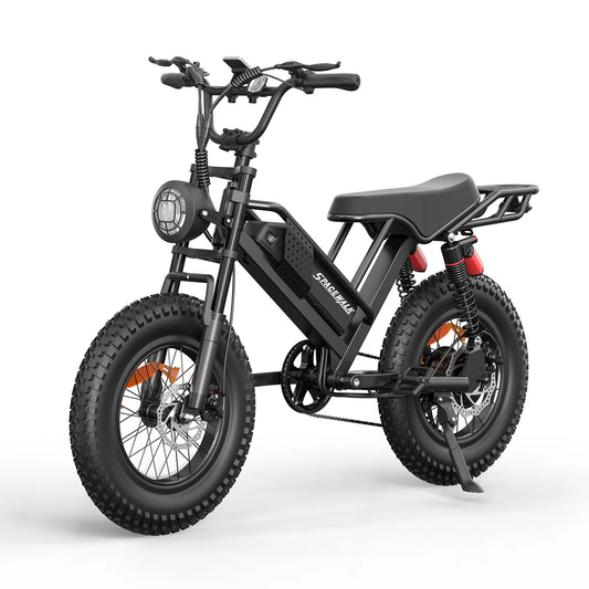 EILLEO SPACEWALK M7 Electric Bike For Teens With Removable Battery