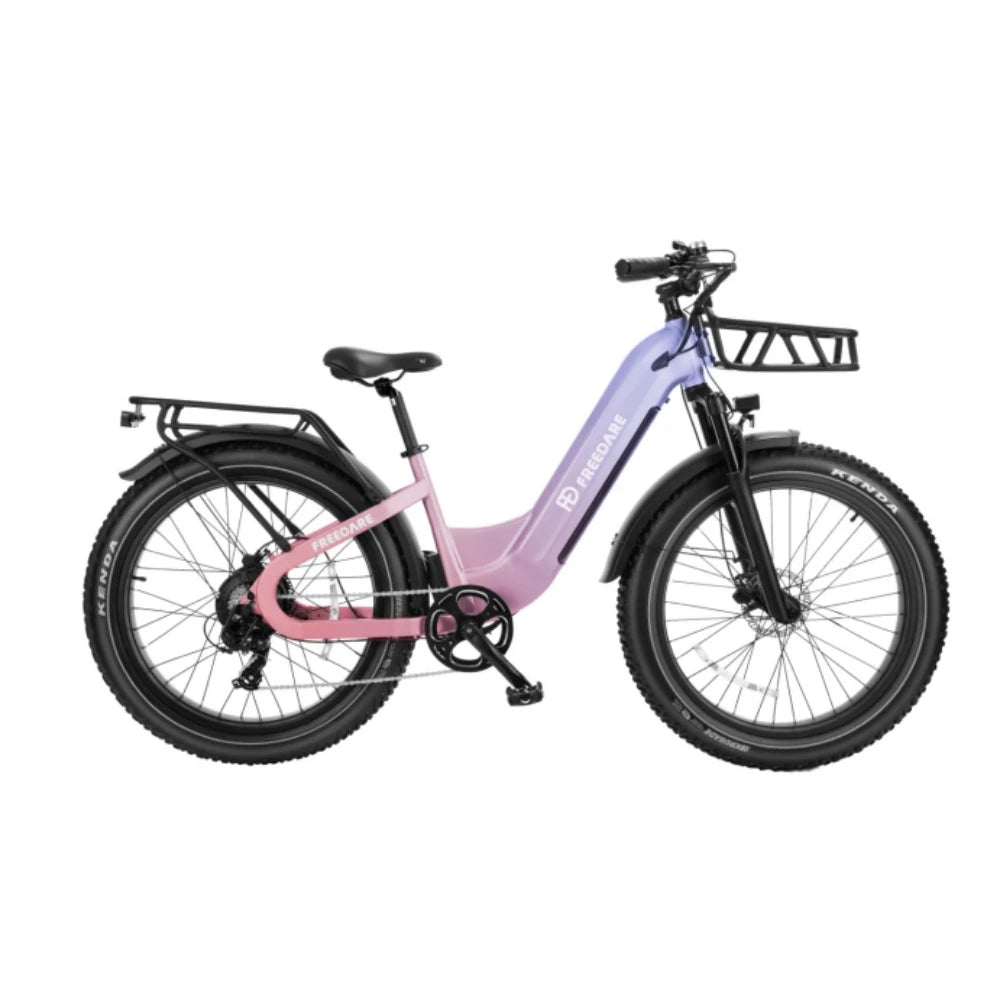 Fat Tire Electric Bike 1000W Peak With Removable Battery
