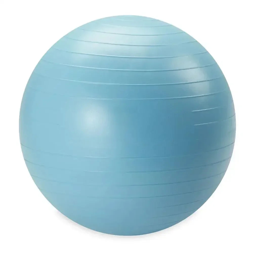 Weighted Fitness Ball With Pump For Core Training And Stability