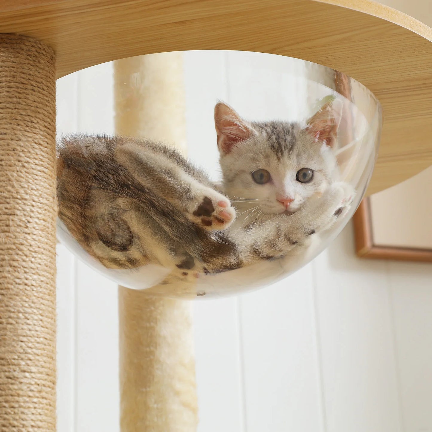 PAWZ Road Multi-Level Cat Tree Indoor Wood Tower With Posts