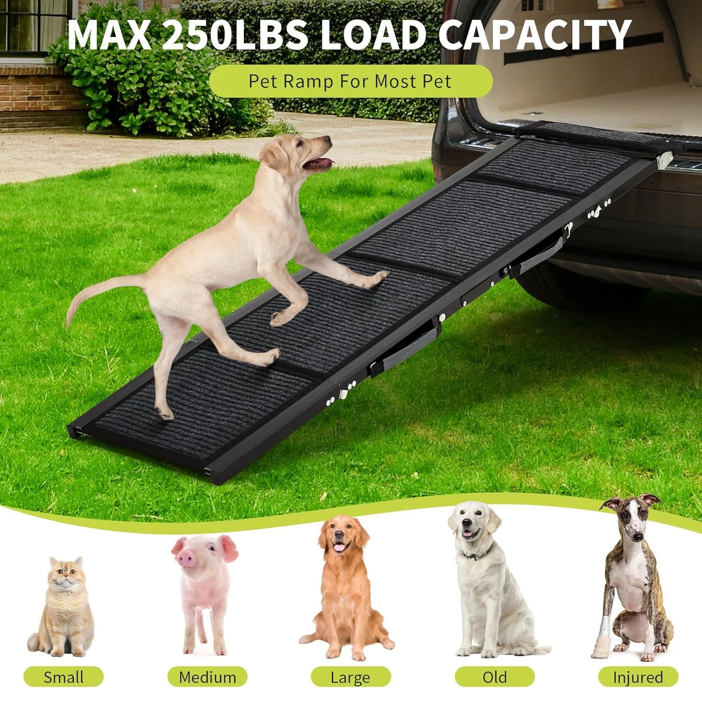 HiMISSDog Upgraded Car Ramp With Non Slip Surface Large Dogs