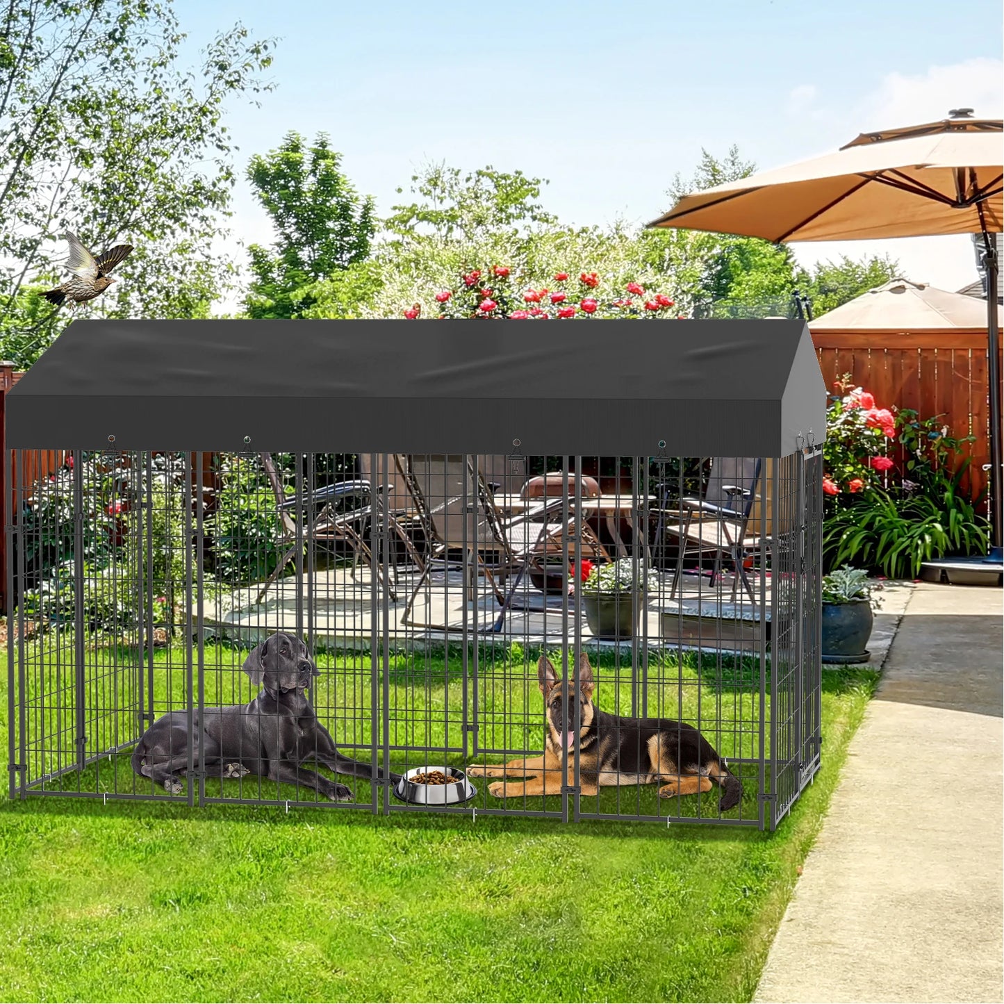BINGOPAW Outdoor Dog Kennel With Welded Wire Canopy