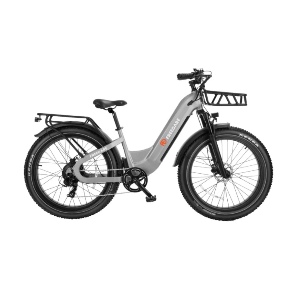 Fat Tire Electric Bike 1000W Peak With Removable Battery