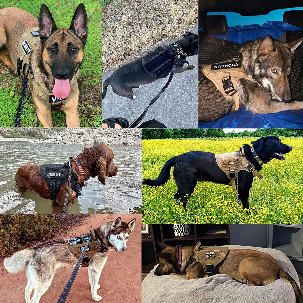 PETRAVELCN Military Large Dog Harness Vest With Leash And Accessories